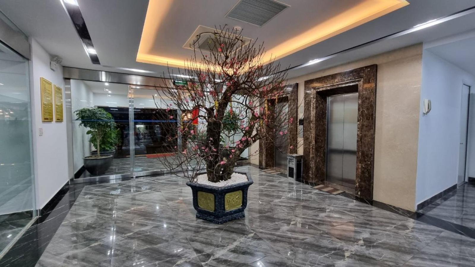 Phong Lan Apartments 하이퐁 외부 사진